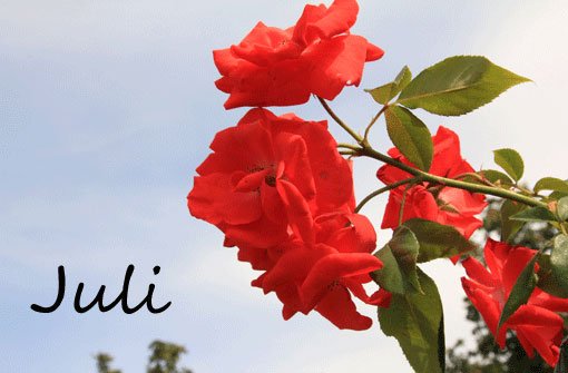 juli